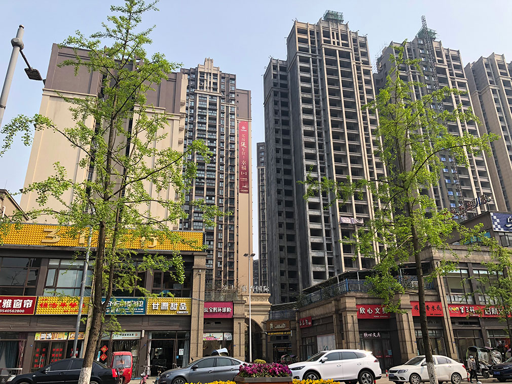 樂(lè )山市沙灣區銀杏國際3